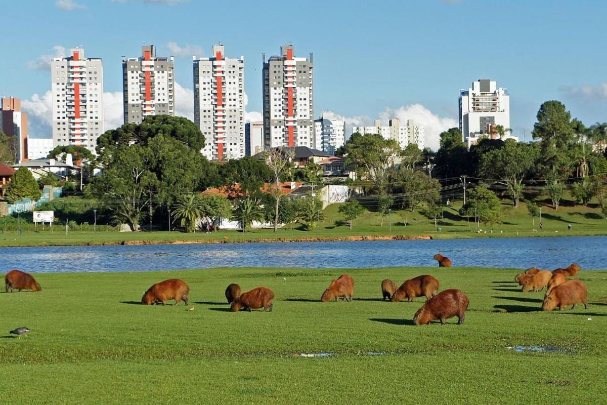 Predio Fantastico No Bairro Mais Requisitado De Куритиба Экстерьер фото